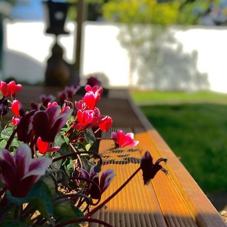 Onehunga Garden Tinyhouse With Parking Hotel Auckland Exterior foto